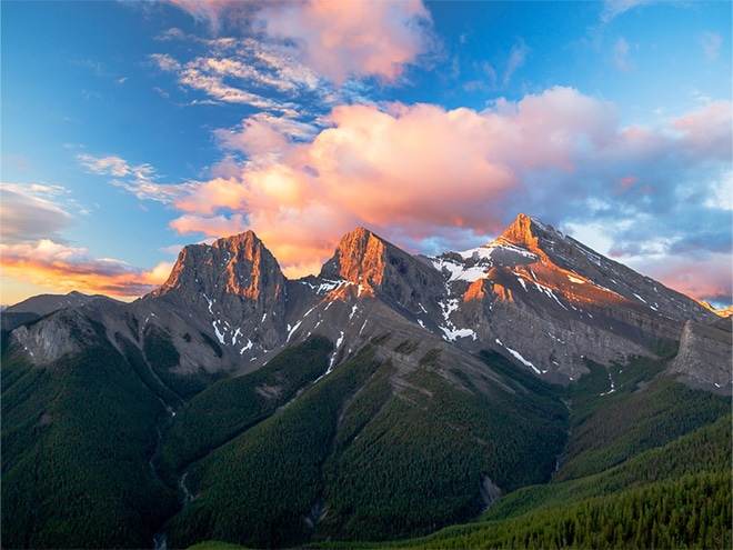 Wild Mountain Immigration