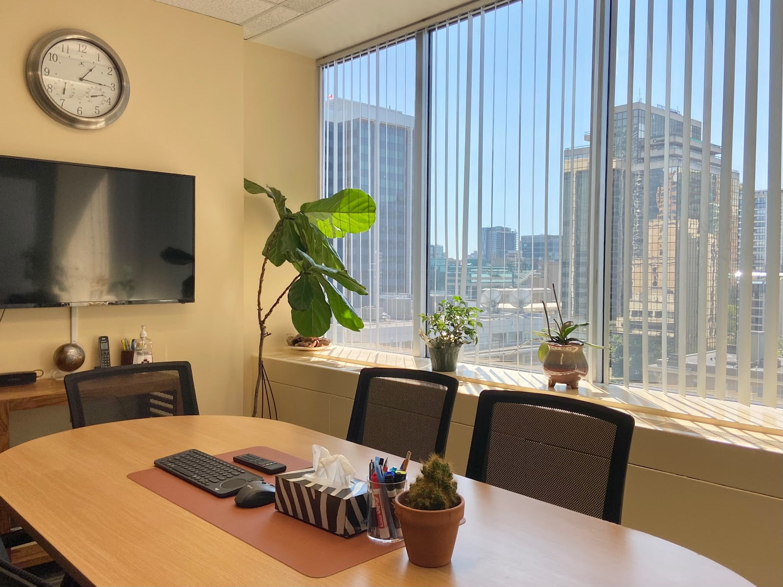 Transam International Inc