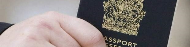 Nien International Consulting