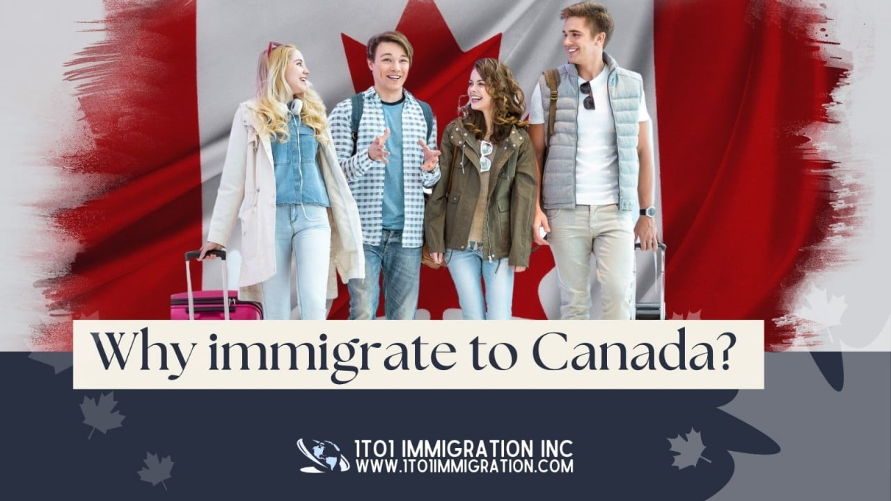1to1 Immigration Inc.
