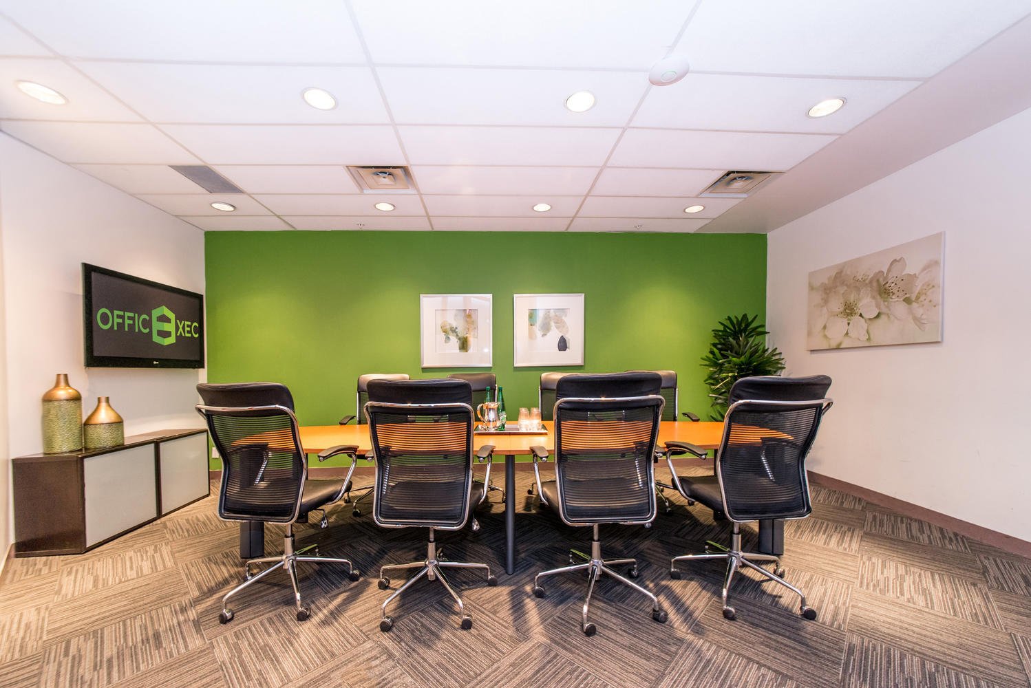 Sanaz Besharat Immigration Organization