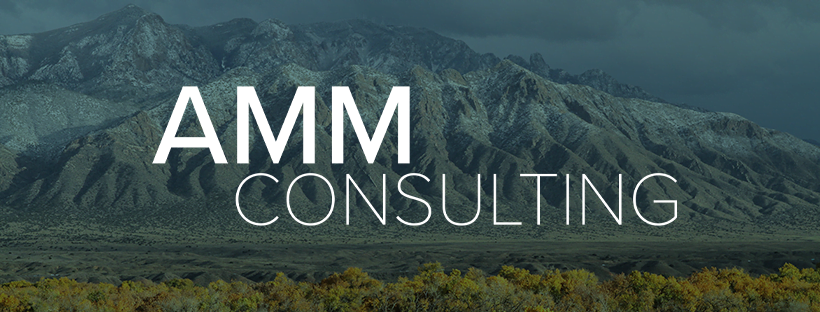 A.M.M. Consultant International