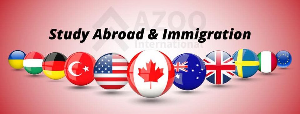 Azoo International Inc. (Silk Consultants)