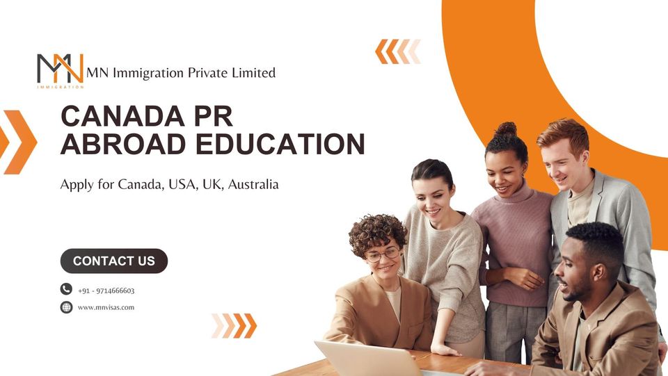 Mn International Immigration Consultancy