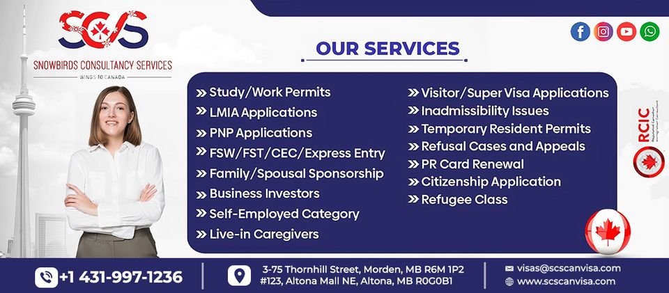 Snowbirds Consultancy Services