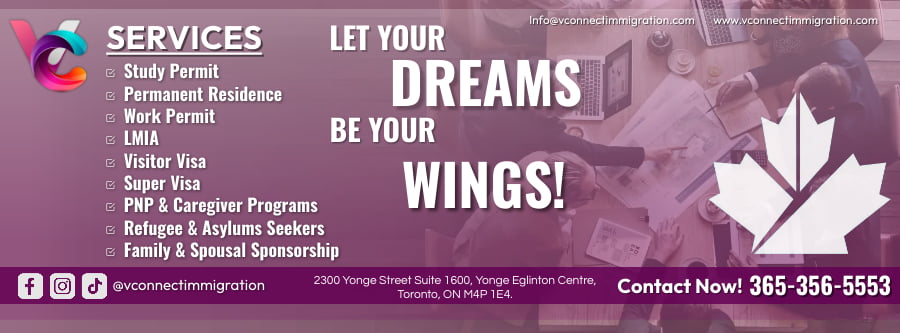 V-Connect Immigration Inc.