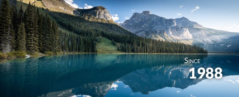 9030684511646043372[1]