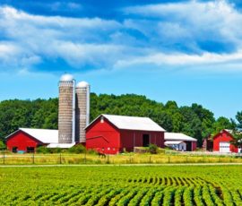 VisaLink Immigration