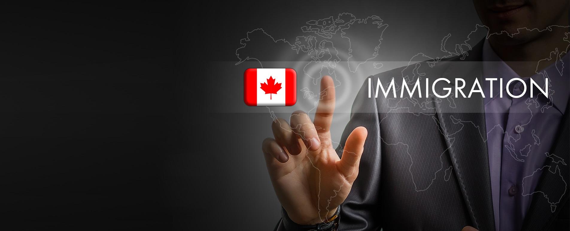 VSN Immigration
