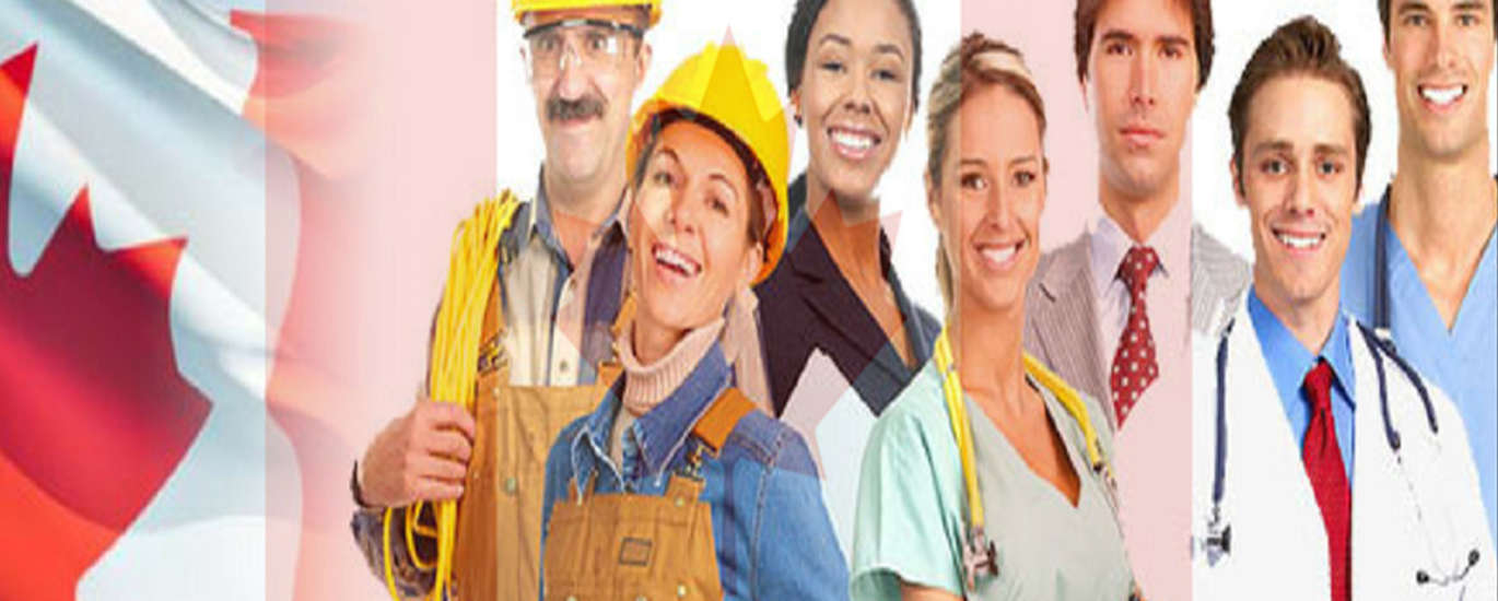 Mayfield Immigration Inc