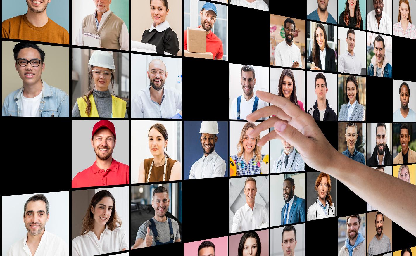 Wildrose Immigration Inc.