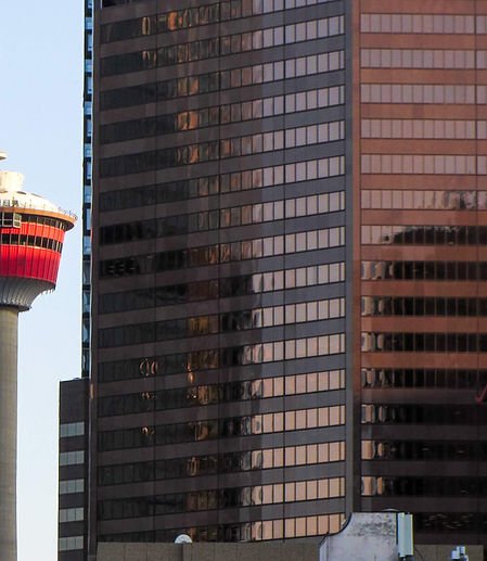 Selamta Immigration Services