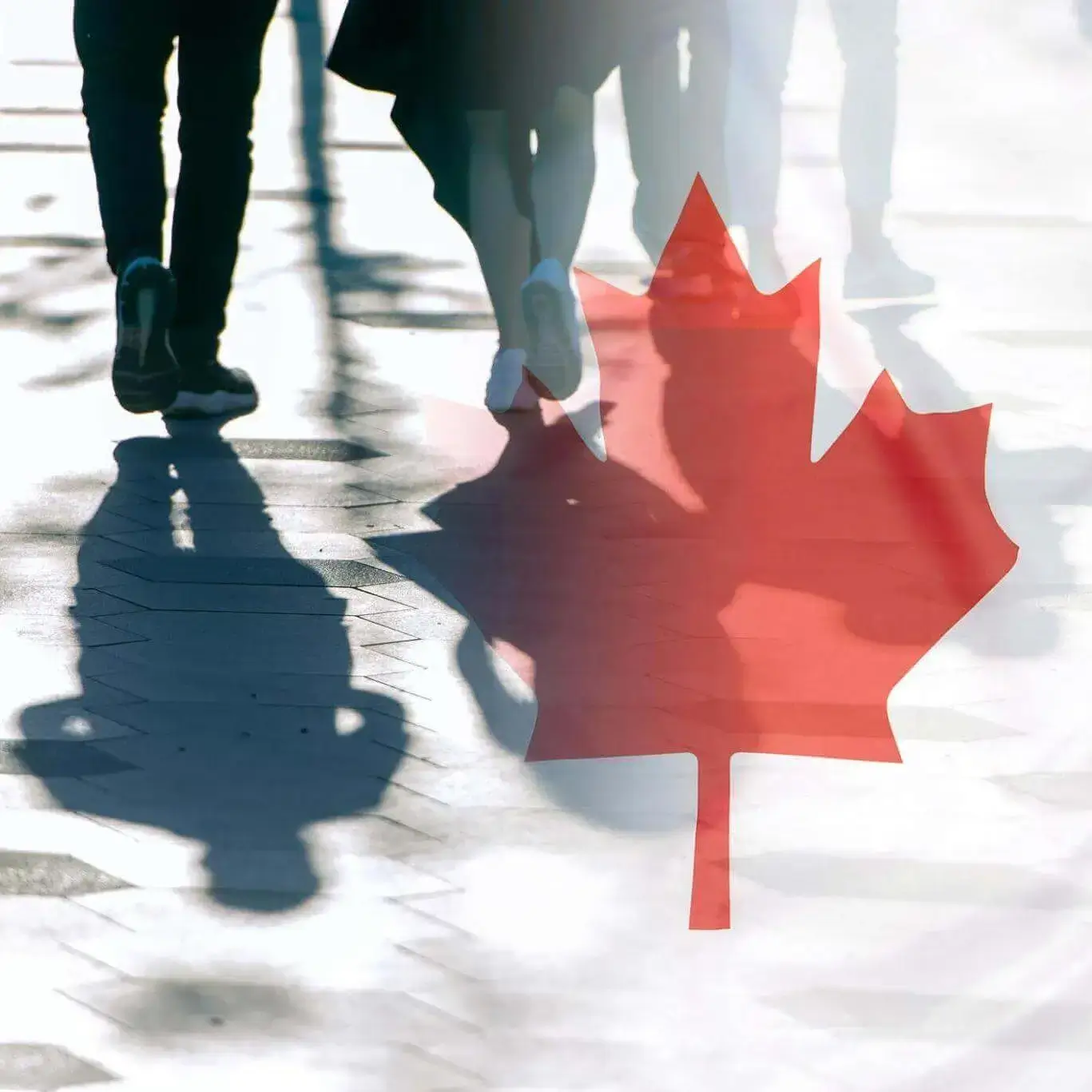 Visa Masters International Immigrations