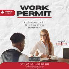 Nabafu Immigration Consulting Services