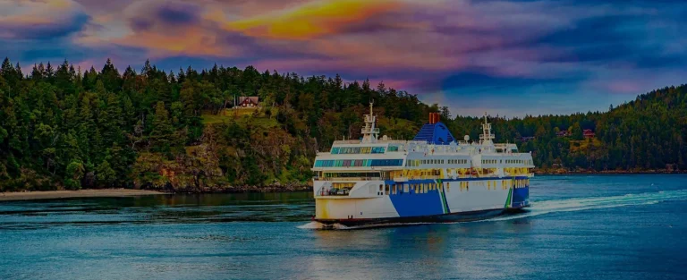 ba2cd3_8f36887a585f44cfa8bae124e1d48148mv2